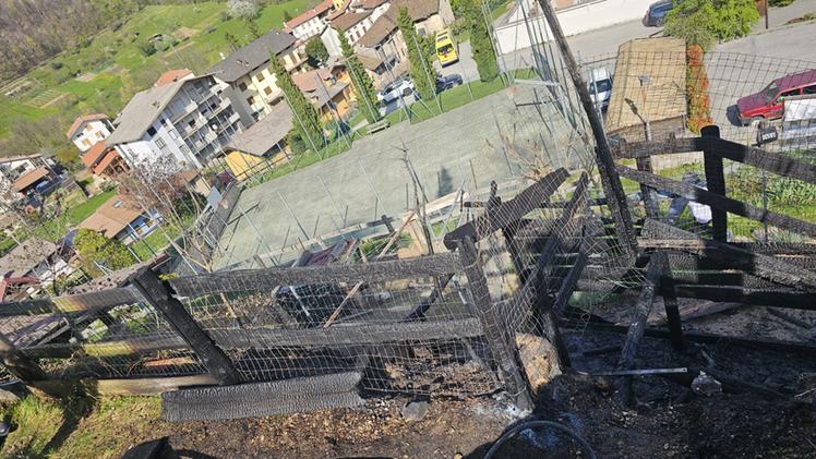 Incendio alla fattoria didattica, animali in salvo | G. di Vicenza