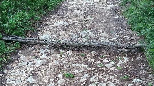 Un ostacolo di tronchi e fili di ferro posizionato lungo un sentiero sui colli sopra Cornedo