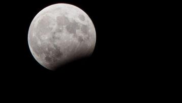 L'eclissi parziale di Luna del 28 ottobre (Foto Andrea Miotto)