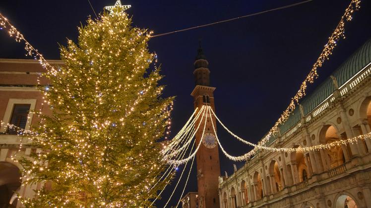 L'abete di Natale e la cascata di luci in piazza dei Signori (Colorfoto/Toniolo)