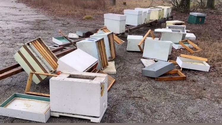 Raid vandalico: i balordi hanno devastato l’apiario del presidente dell’Associazione regionale apicoltori del Veneto nel parco dell’ex istituto Baronio