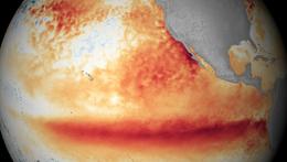 Le temperature di superficie nel Pacifico durante il passaggio di El Niño nell 'ottobre 2015 (fonte: NOAA) - RIPRODUZIONE RISERVATA