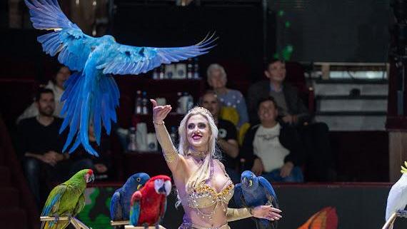 Elisa Cussadie-Triberti e i suoi pappagalli durante la finale internazionale a Budapest (GREGOLIN)