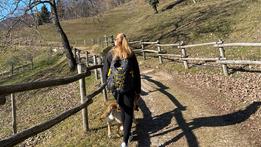The path in Schio Ideal for dog owners too
