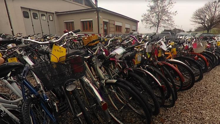 Alcune delle biciclette smarrite e recuperate che erano poi state messe all’asta l’anno scorso (Foto Archivio)