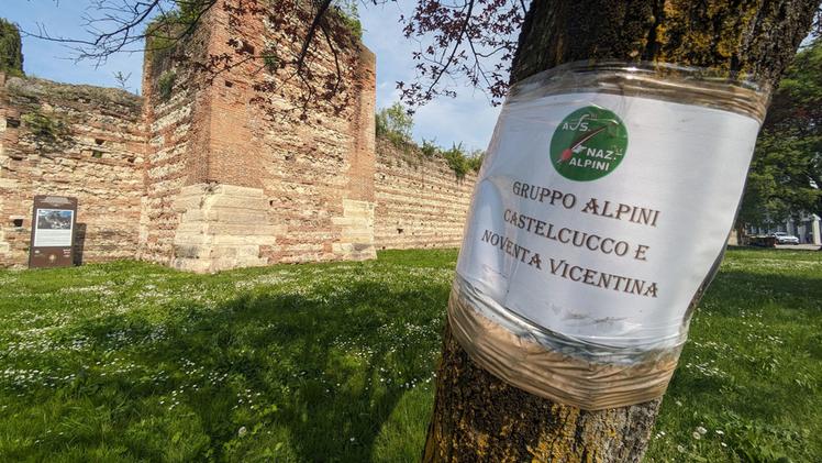 I cartelli sono comparsi nell'area verde lungo le mura di viale Mazzini, su alberi e piloni