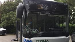 Uno degli autobus per il trasporto pubblico locale utilizzati da “La Linea” (Foto TOGNAZZI)
