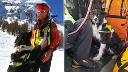 Il cane Skari con Nadia, la sua conduttrice del Soccorso alpino del Veneto