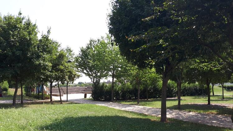 Parco della solidarietà In Marano, ready for Katamarano 2024