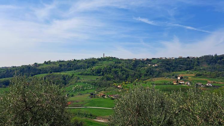 Coleceresa Hills and slopes offer a network of winding paths and loop roads rich in streams, woods, vineyards, and olive groves