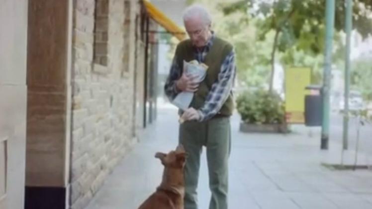 Il cane e il suo padrone, una storia commovente sulla donazione degli organi
