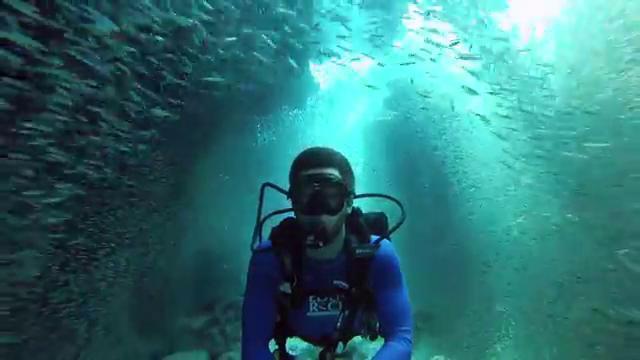Un tunnel di pesci per il sub: l'esperienza al largo delle Isole Cayman