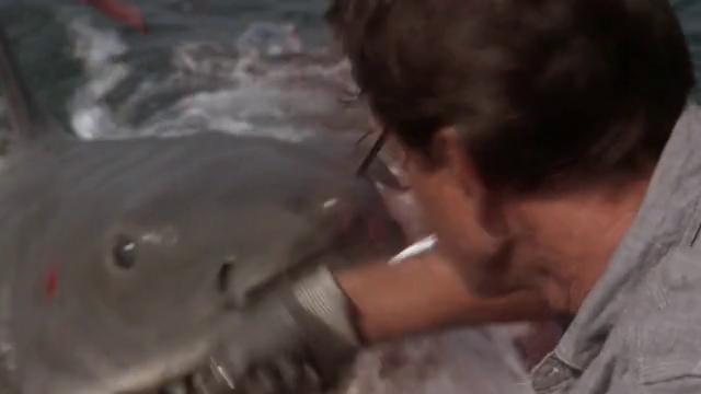 Usa: ''Jaws on the water'', il cinema horror è nell'acqua