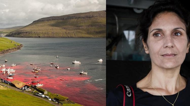 Faroe, l'attivista vicentina Marianna Baldo