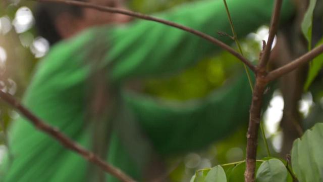 Gli attivisti di Greenpeace Brasile hanno risposto alla richiesta di aiuto del popolo indigeno dei Ka&rsquo;apor, e stanno lavorando al loro fianco per monitorare, tramite Gps e sensori termici, le terre della riserva indigena dell'Alto Turiaçu, nello stato di Maranhão e proteggerle dalla deforestazione illegale
