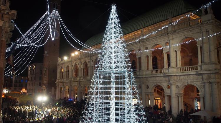 L'albero acceso in piazza dei Signori (Colorfoto)