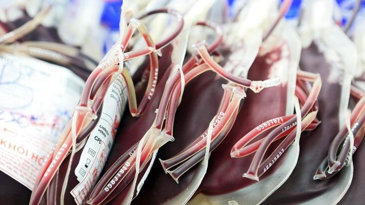 La  Fidas  dona oltre 32 mila sacche di sangue  all’anno e riceve quasi 600 mila euro dalla Regione.  ARCHIVIO
