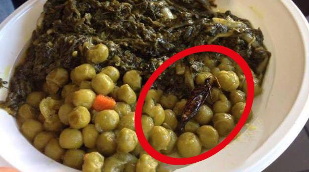 L’insetto trovato in un piatto di verdura alla mensa universitaria