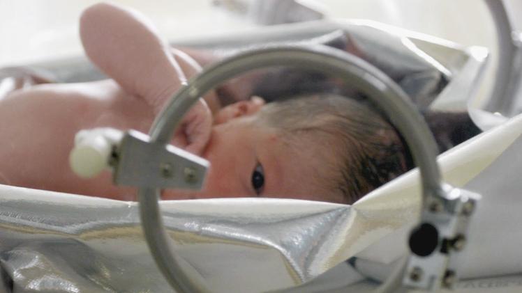 Un neonato in un’incubatrice. La piccola Sara è nata il 22 giugno al  San Bortolo. IMMAGINE D’ARCHIVIO