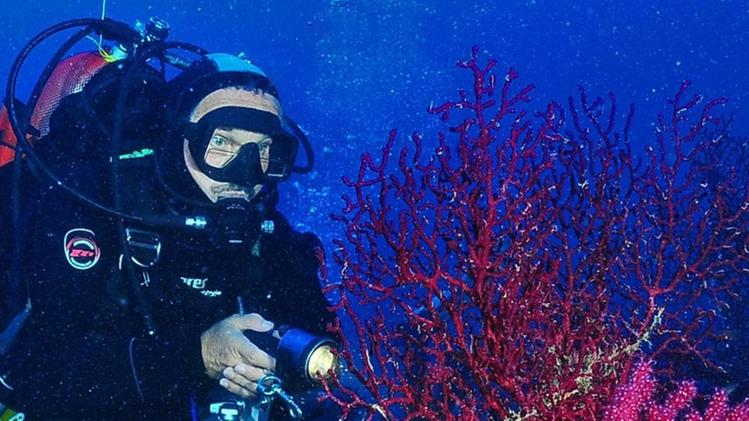 Un sub scopre una colonia di coralli nelle profondità del mare