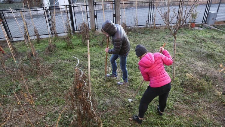 Studenti all'opera con attività di giardinaggio per "scontare" la sospensione a scuola