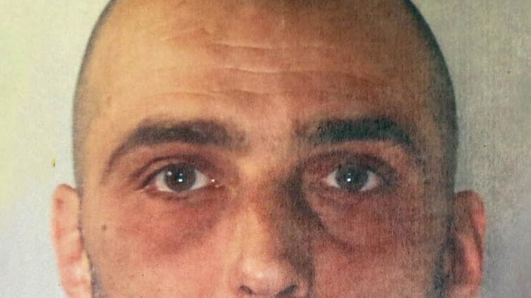 Gianluca GalvanGli inquirenti  e, in primo piano, una parte delle piantine di marijuana sequestrate