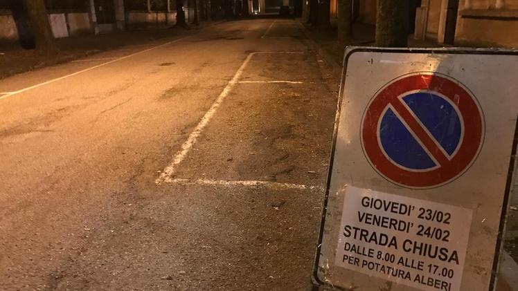 Viale Panzini chiuso al traffico dalle 8 alle 17 per potatura alberi. ZILLIKEN