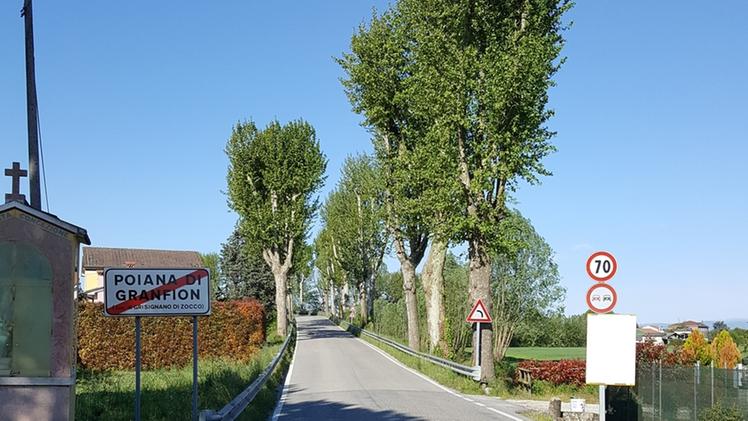 La strada che collega Grisignano con la frazione di Poiana.MARINI