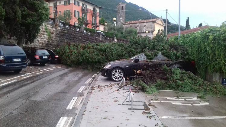 I danni per il maltempo sul Garda (foto L'Arena/Musuraca)