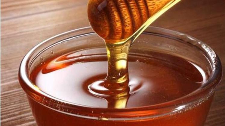 Anche nel Vicentino la produzione di miele ha subito quest’anno una fortissima riduzione