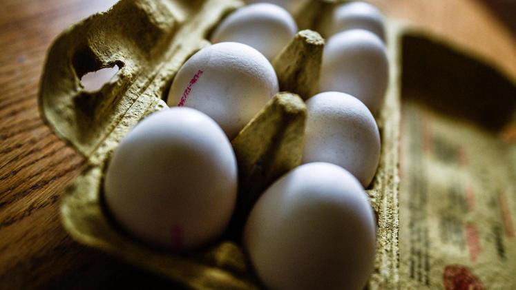 Al via anche nel Vicentino i controlli su uova e carni avicole