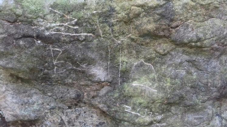 Le incisioni rupestri deturpate dai vandali nella Valdassa