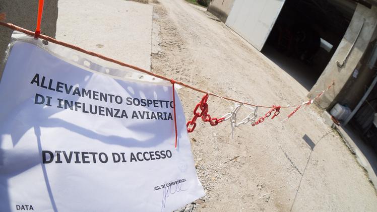 Uno dei cartelli che vieta l’accesso in un allevamento di anatre a Cagnano di Pojana Maggiore per ordine dell’Ulss. MASSIGNAN