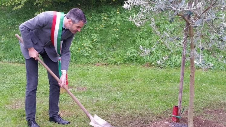 Il sindaco Riccardo Poletto mentre mette a dimora l’olivo in ricordo dei profughi morti nel MediterraneoTra Nicola Finco e il primo cittadino non è tempo di sorrisi