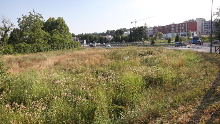 L’area verde accanto alla rotatoria tra via dello Stadio e via Zanecchin dove sarà realizzato il nuovo parcheggio multipiano