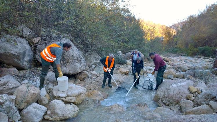 Alcuni volontari al lavoro per ripulire il bacino Agno - Chiampo. FOTO DANIELI