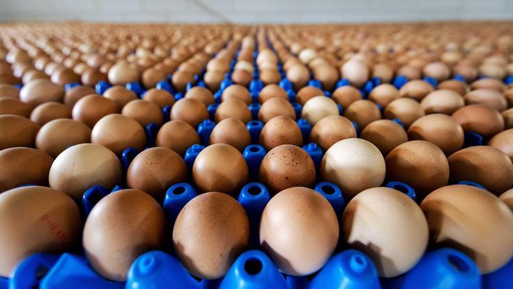 Le uova sono considerate un alimento ad alto tasso allergizzante
