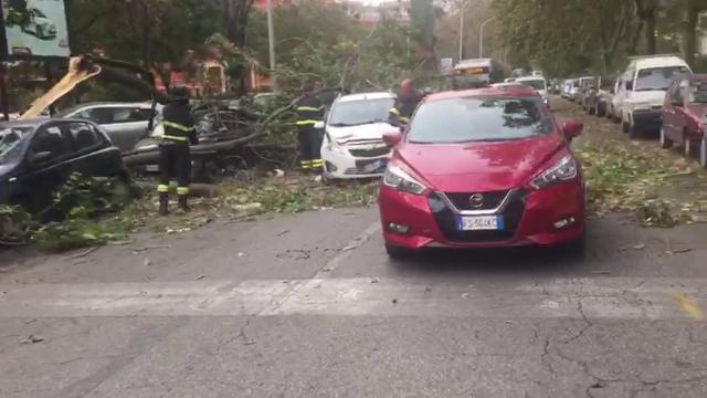 Alberi e rami sono caduti su diverse strade di Roma, abbattendosi in alcuni casi su auto e scooter in sosta. Non si registrano feriti. Nel video un albero crollato sulla circonvallazione Ostiense