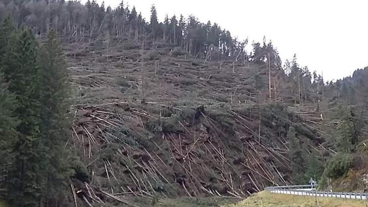 Una drammatica immagine della devastazione sull'Altopiano, in Val d'Assa