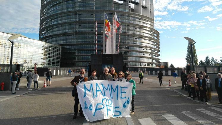 I Genitori No Pfas manifestano nelle sedi Ue per chiedere limiti zero