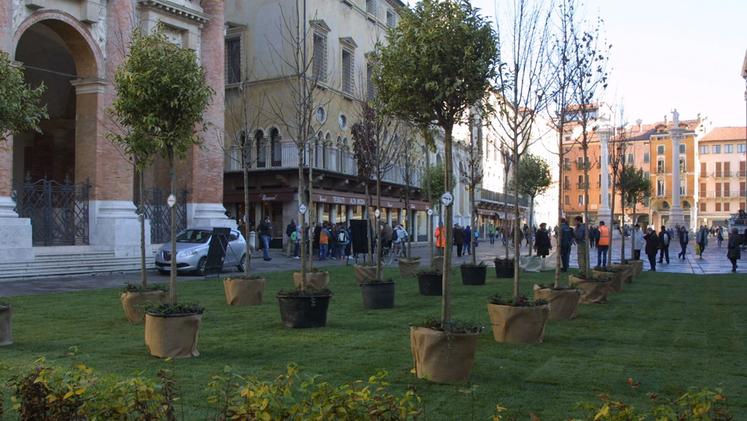 Tappeto "verde" in piazza dei Signori (Foto archivio)