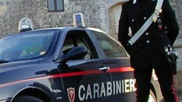 I carabinieri della stazione di Arzignano stanno indagando. ARCHIVIO