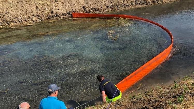 La raccolta del pesce morto in uno dei piccoli corsi d’acqua contaminati dopo il rogo alla IselloUn  altro degli interventi conclusi da volontari e addetti