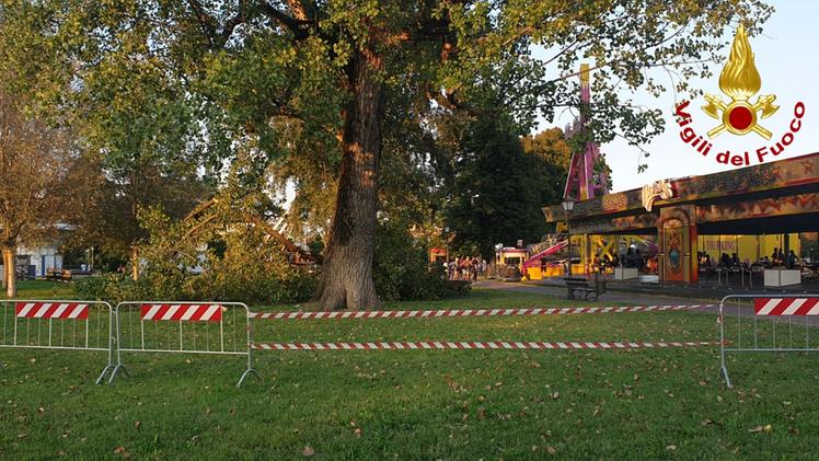 L'albero caduto vicino alla giostra del Luna Park