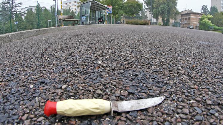 L'area di via Baccarini dov’è avvenuta l’aggressione. (Foto Ciscato)