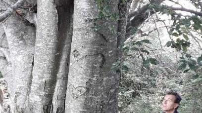 I carabinieri forestali  censiscono gli alberi monumentali.  FOTO  MOLINARI