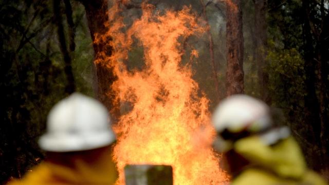 Incendi devastanti in Australia