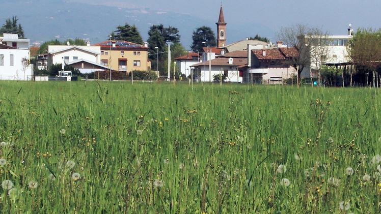 Un terreno agricolo che il Comune conta di affittare nella zona dei Cappuccini. FOTO STELLA-CISCATO 