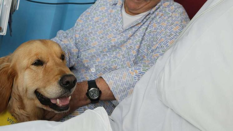 Pet-therapy in un ospedale (Foto Archivio)