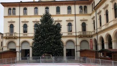 La pista di pattinaggio sul ghiaccio e l’albero di Natale in piazza.  G.Z.